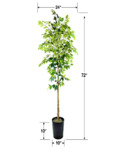 20TFP111F Measure