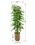 21TFP107B Measure