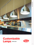 Hatco Customizable Options Guide