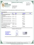 hawaiian_punch_kosher.pdf