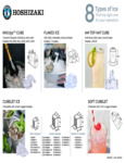 Ice Types