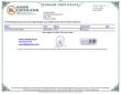 hunts_portion_packet.pdf