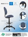 B1615-BE_infograph.pdf