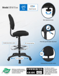 B1615-BK_infograph.pdf