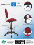 B1615-BY_infograph.pdf