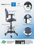 B1616-BE Infographic