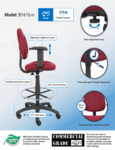 B1616-BY Infographic