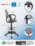 B1617-GY_infograph.pdf