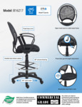 B16217_infograph.pdf