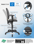B1646_infograph.pdf