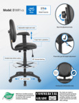 B1691-CS_infograph.pdf