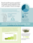 Food Freshness Flyer