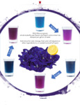 Wild Hibiscus Butterfly Pea Flower Infographic