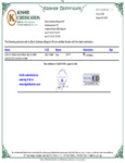 Kosher CHD-CC-CRISP-02B