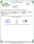 Kosher CHD-DR-6002328-015