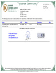 Kosher CHD-DR-6002329-015
