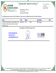 Kosher CHX-CP-90368-A99 Kosher CHX-CP-90368-A99