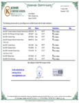 Lyons Magnus Kosher Certificate.pdf
