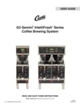 Manual Gemini