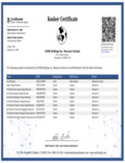 master_MC_EKosher.pdf master_MC_EKosher.pdf