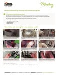 Mastery Manual Mastery Manual