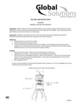 Global Solutions Food Chopper Manual