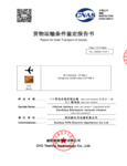 Report for Safe Transport by Air 100BPAIBAT