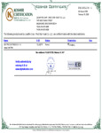 saf_pro_22_lb_softness_31_+_volume_dough_improver.pdf