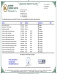 satinice_kosher(2).pdf