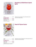 Boiron Strawberry 1