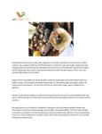 verterra_about_us.pdf verterra_about_us.pdf