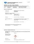 13BCPC61035074_sds