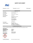 P&G_Tide Professional_14312_UNR24E7JGB5DN3RE_SDS