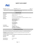 P&G SDS