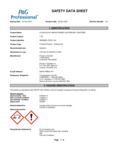 63207534CL_95336935_PROF_NG_MTR_PGCN_EN.pdf