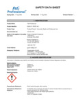 P&G_ Tide Professional Powdere_63214120_K8P2RNRJKW2K7W9H_SDS