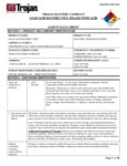 99506 SDS 99506 SDS