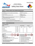 Battery SDS