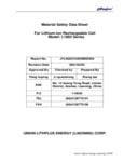 Battery SDS