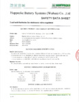 SDS for 324REBEL10