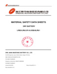 MSDS DRY BATTERY 2023
