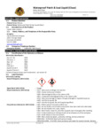 SDS - Patch and Seal Liquid - Clear GOR105341.pdf