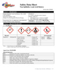 Battery SDS
