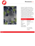 riverstone spec sheet