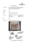 871RE4410_513303_market_specsheet_.pdf