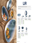 Ariane_lir_spec sheet