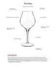 BauscherHepp Luigi Bormoili "The Glass"