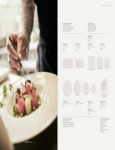 BravuraBoneChina_spec1
