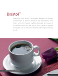 Bristol Stoneware Dinnerware by Int. Tableware