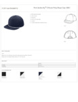 C981_specsheet